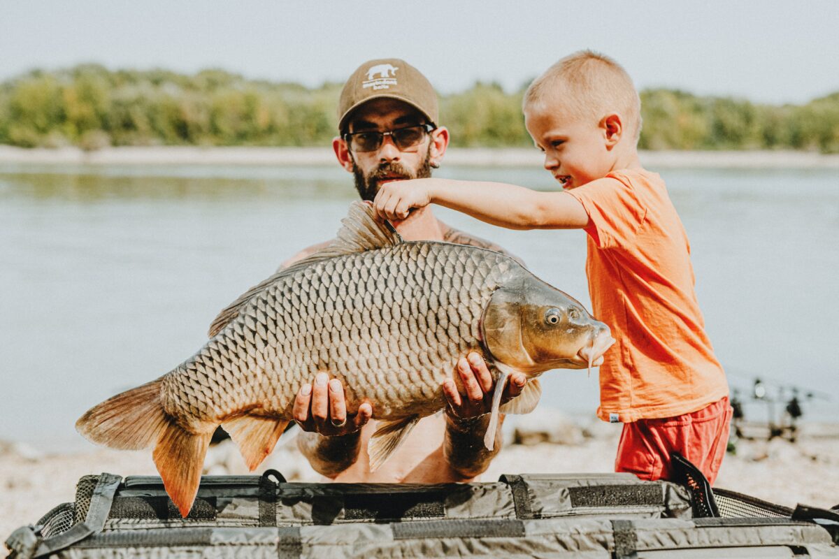 La pêche à la carpe au coup