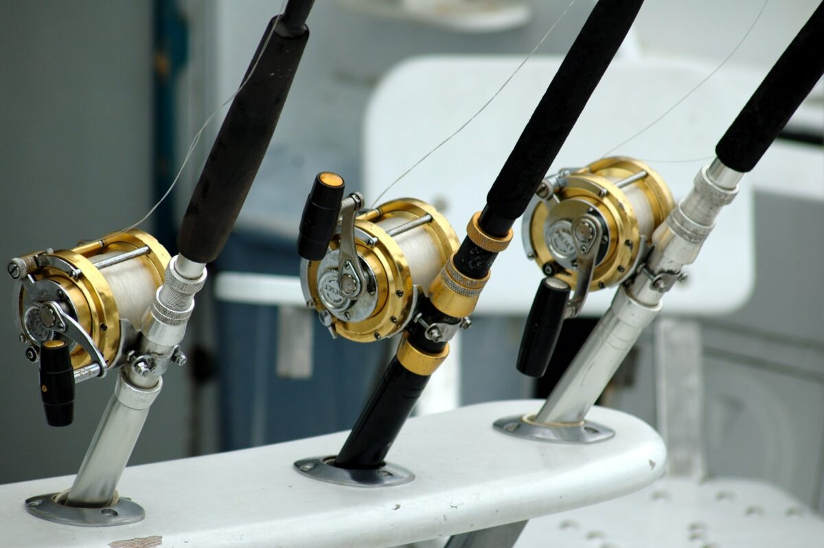 Dove comprare il filo da pesca?