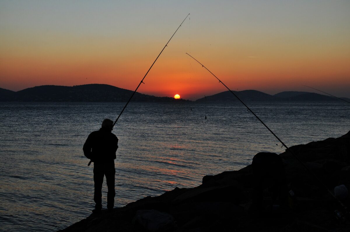 Where to buy a fishing rod?