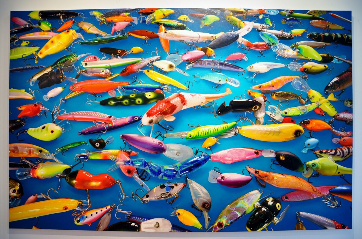 Which hook for which fish?